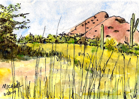Phoenix desert in winter