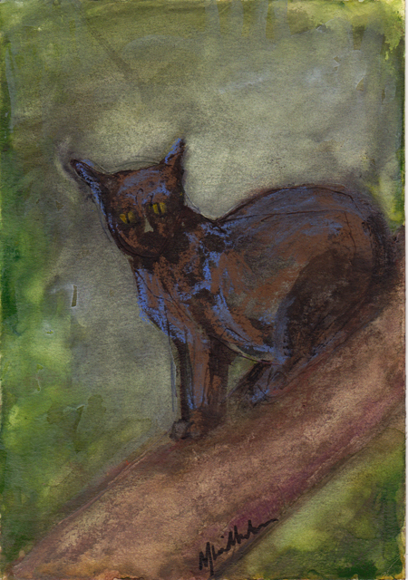Friday the 13th!  Black Cats!  Oh My!