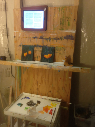Today’s Studio Photo – California Poppies