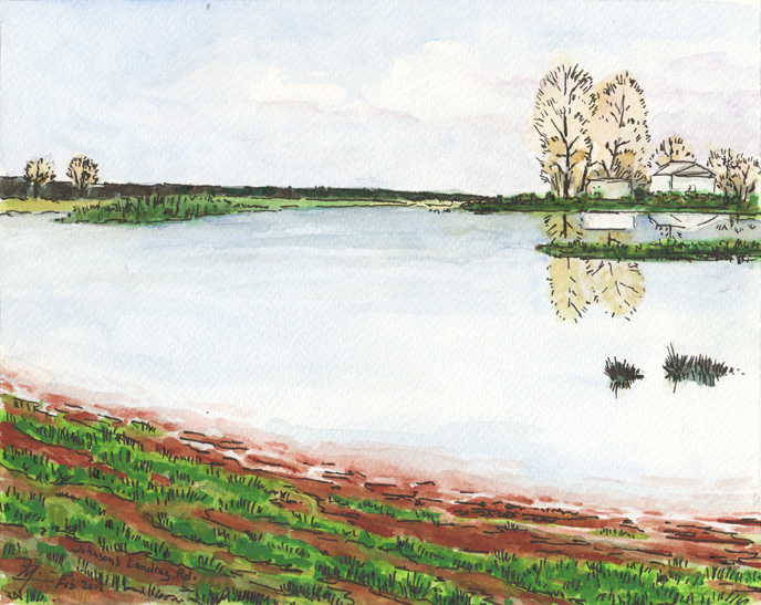 Ephemeral pond along Johnson’s Landing Road