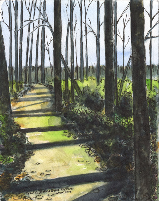 Trail in Smith and Bybee Wetlands, Portland