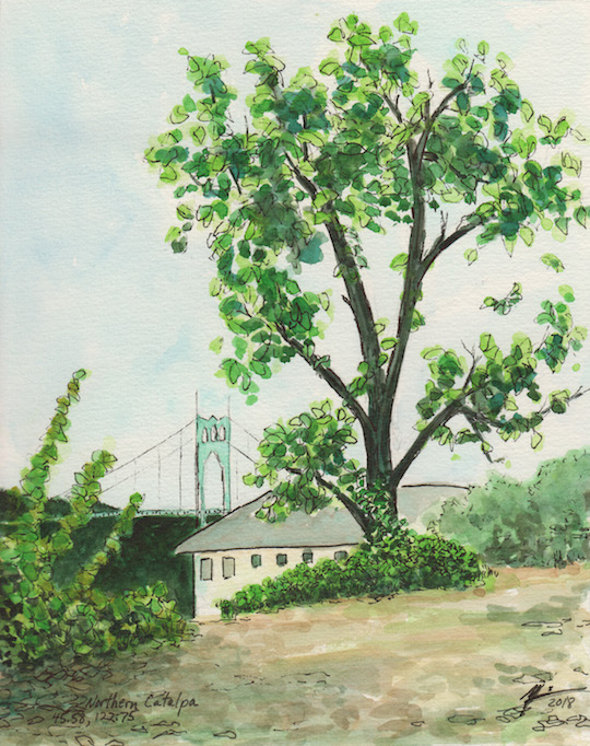 Painting to Save the Trees