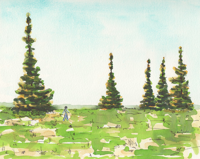 Fir trees for sale?