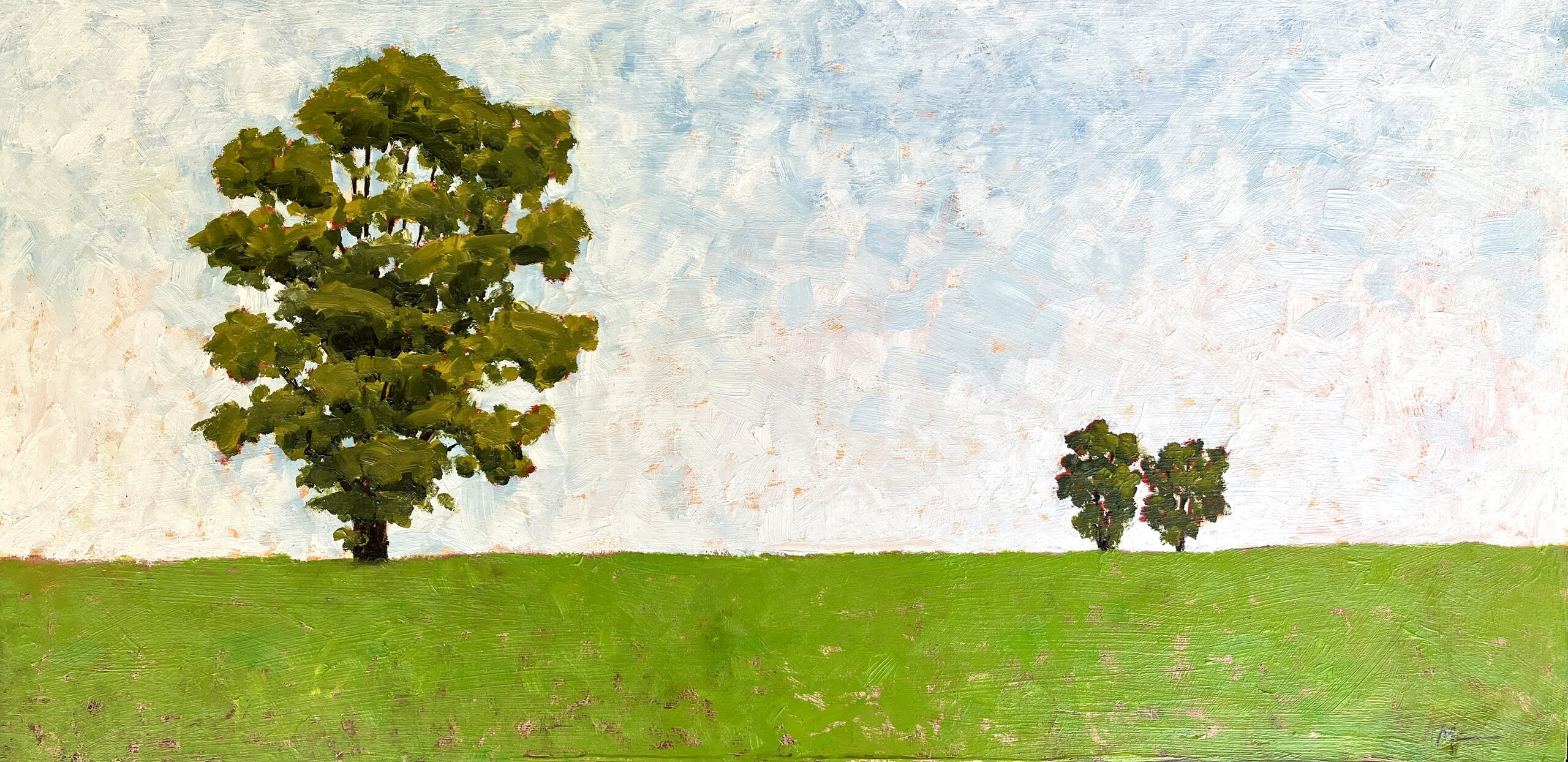 Oaks overlooking new wheat