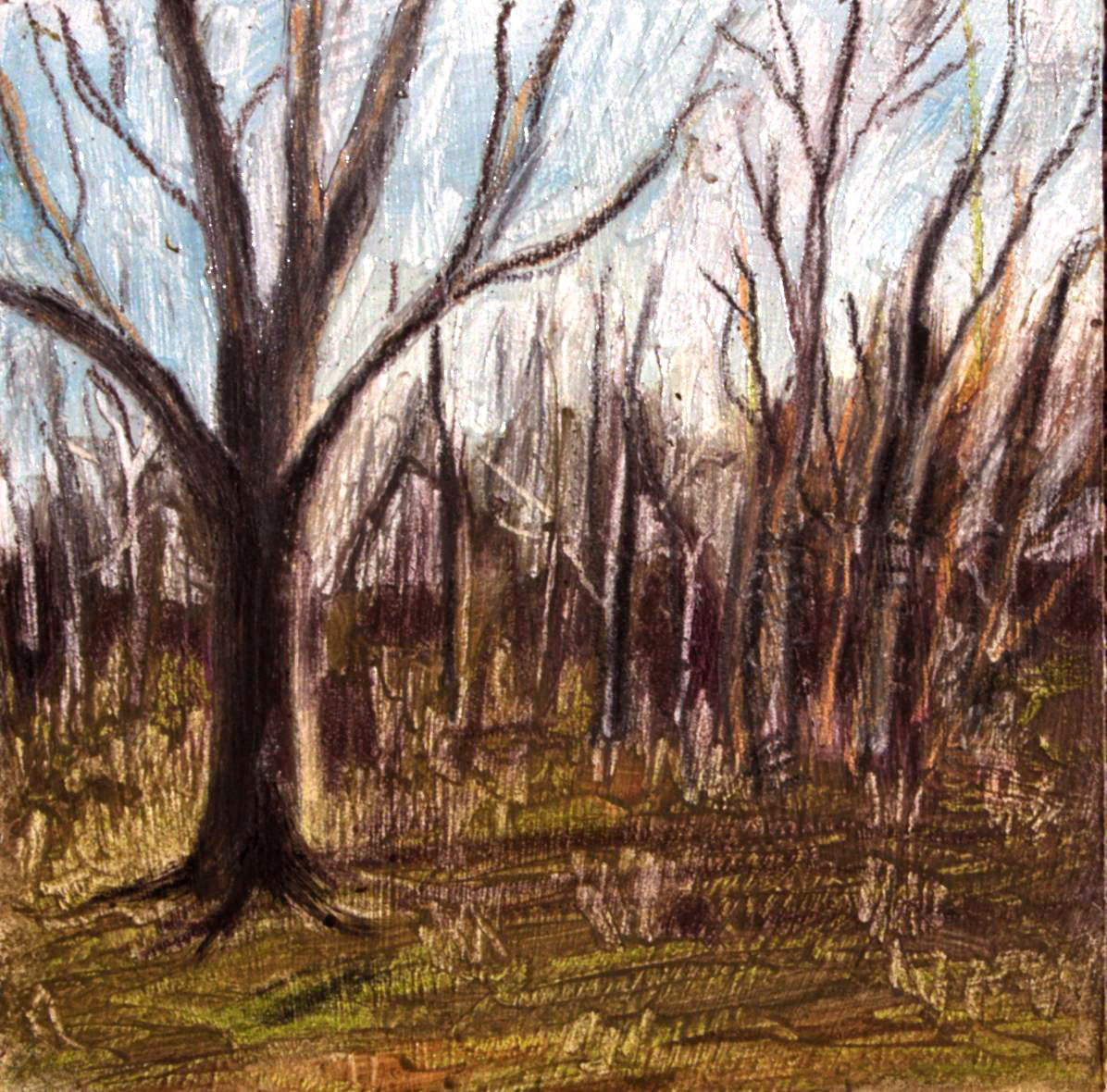 Earlier Spring 6 – Woodbury CT