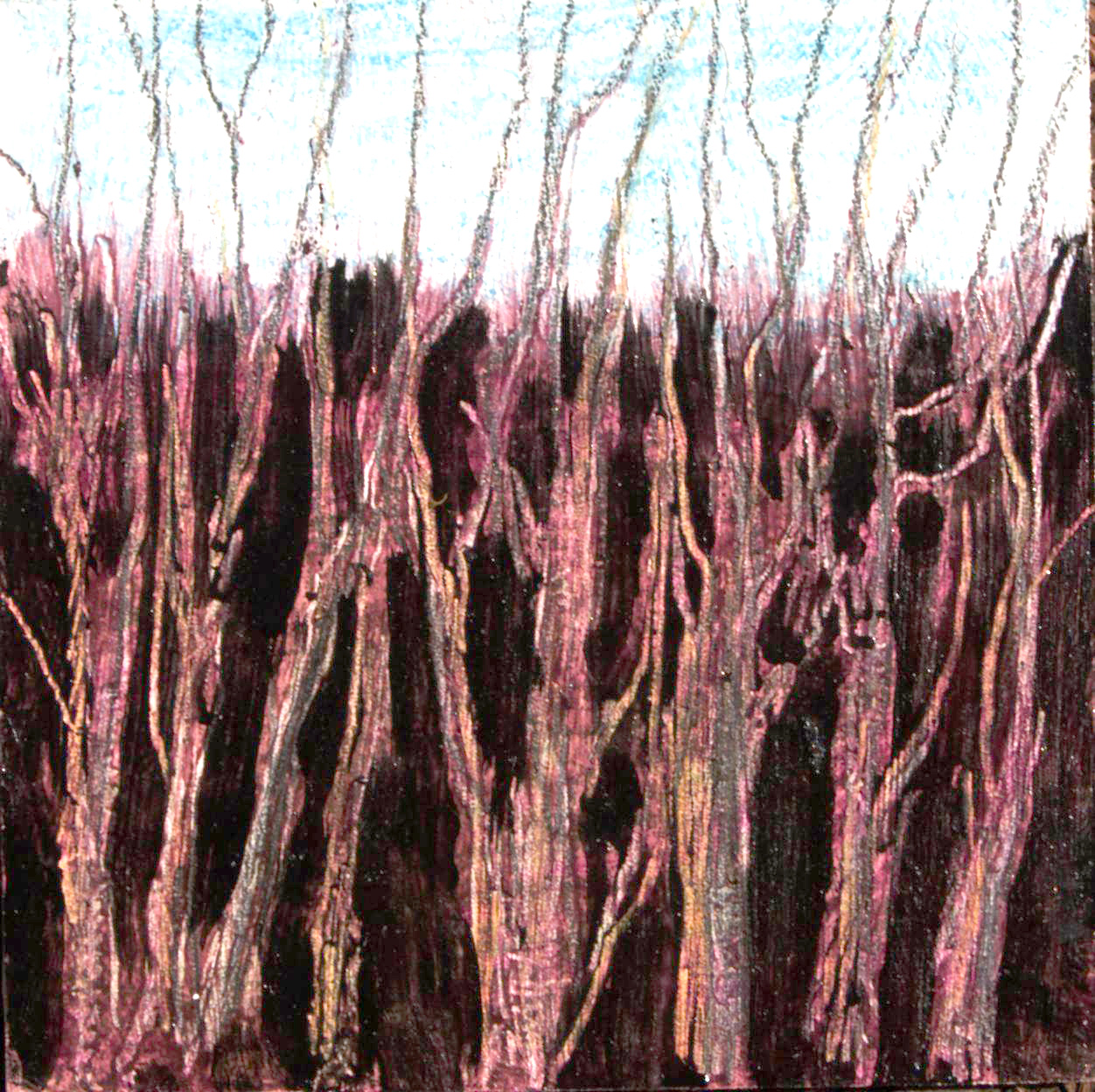 Earlier Spring 3 – Woodbury CT