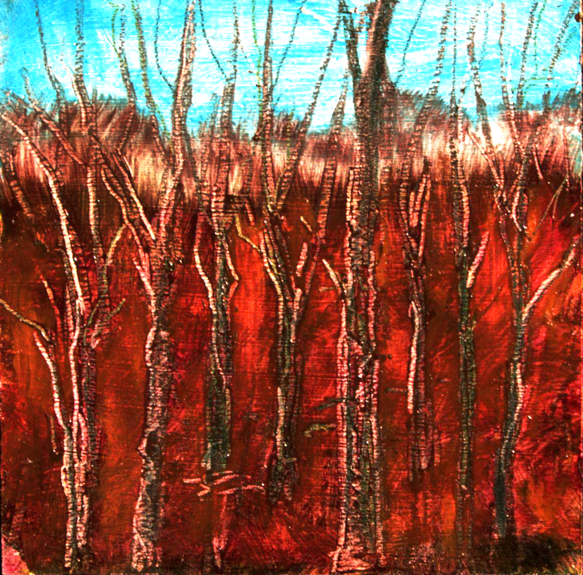 Earlier Spring 7 – Woodbury CT